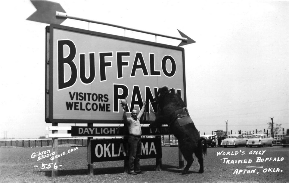 Buffalo Ranch 3